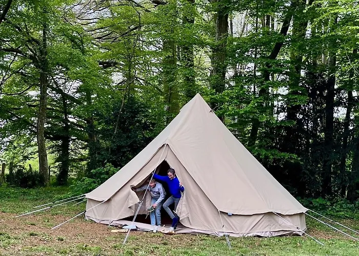 Chateau De * Moulins-le-Carbonnel
